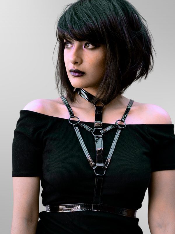 Artemis Body harness (1)