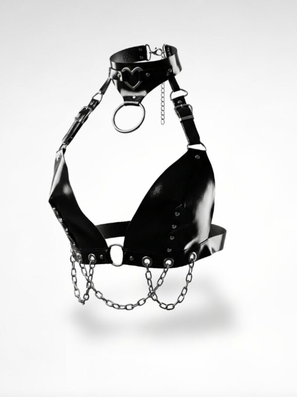 Bra-arness Evil Queen
