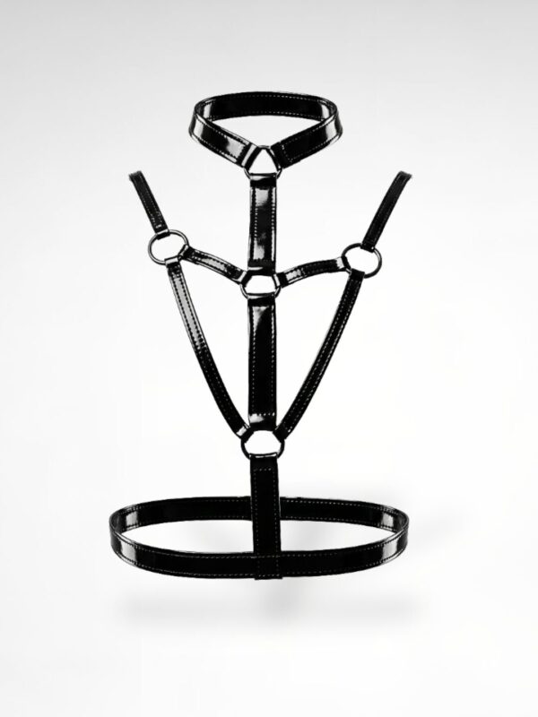 Artemis Body harness